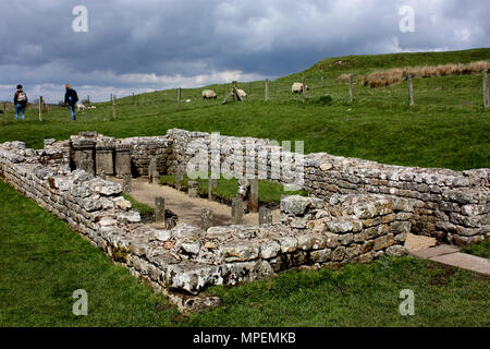 Le Temple de Mithra à Carrawburgh près de mur d'Hadrien Banque D'Images