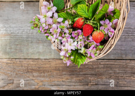 Les fraises et les buissons dans un panier de fraises Banque D'Images