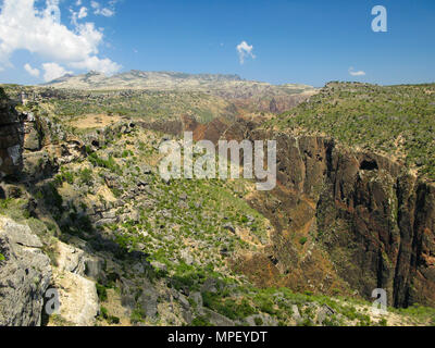 Vue panoramique sur les gorges du plateau Dixam et Wadi Dirhur à l'île de Socotra, au Yémen Banque D'Images