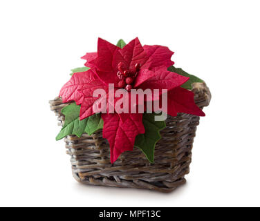 Poinsettia dans un panier. Tissu fleur fait main foamiran. Fleurs artificielles faites de caoutchouc mousse. Banque D'Images