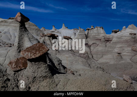 Bisti Badlands est un lieu de stockage géologique avec ses formations de grès incroyable, big sky et arbres pétrifiés. Banque D'Images