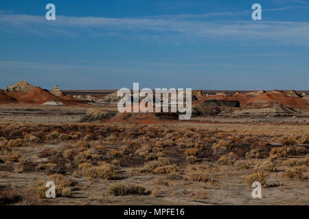 Bisti Badlands est un lieu de stockage géologique avec ses formations de grès incroyable, big sky et arbres pétrifiés. Banque D'Images