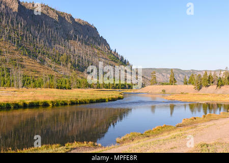 Tôt le matin sur la Madison River in Yellowstone National Park Banque D'Images