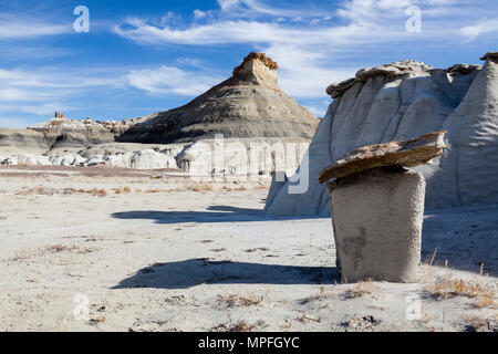 Bisti Badlands est un lieu de stockage géologique avec ses formations de grès incroyable, big sky et arbres pétrifiés. Banque D'Images