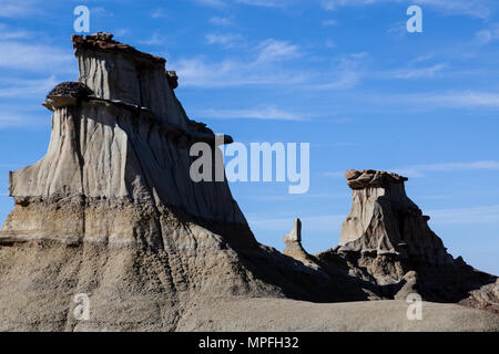 Bisti Badlands est un lieu de stockage géologique avec ses formations de grès incroyable, big sky et arbres pétrifiés. Banque D'Images