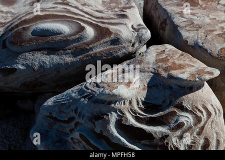 Bisti Badlands est un lieu de stockage géologique avec ses formations de grès incroyable, big sky et arbres pétrifiés. Banque D'Images