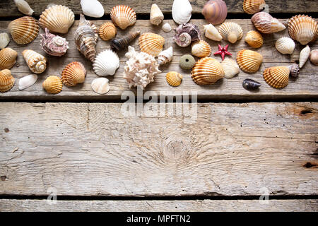 Les coquillages marins sur l'ancien fond de bois. Des vacances d'arrière-plan. Banque D'Images