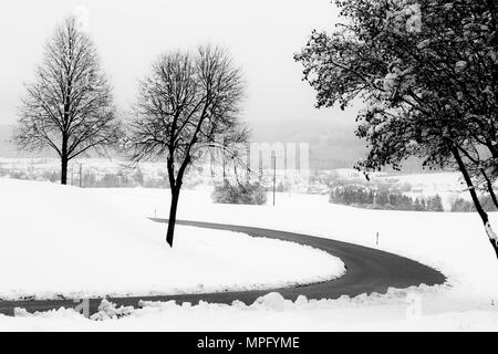 Une route sinueuse au milieu de la neige, avec quelques arbres sur les côtés Banque D'Images