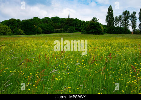 Londres, Angleterre. 23 mai 2018. Sur une belle journée ensoleillée, le centre de Harrow commence à ressembler à des profondeurs de la prés de la campagne avec des couleurs du printemps jusqu'à l'église de Sainte Marie au sommet de la colline. Crédit : Tim Ring/Alamy Live News Banque D'Images