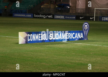 Salvador, Brésil. 23 mai, 2018. Match entre Bahia et la floraison, qui a eu lieu ce mercredi (23) dans un jeu valable pour la coupe d'Amérique du Sud. À l'Arena Fonte Nova dans Salvador, BA. Credit : Tiago Caldas/FotoArena/Alamy Live News Banque D'Images