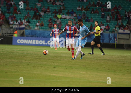 Salvador, Brésil. 23 mai, 2018. PArtida entre Bahia et la floraison, qui a eu lieu le mercredi (23) dans un jeu valable pour la coupe d'Amérique du Sud. À l'Arena Fonte Nova dans Salvador, BA. Credit : Tiago Caldas/FotoArena/Alamy Live News Banque D'Images