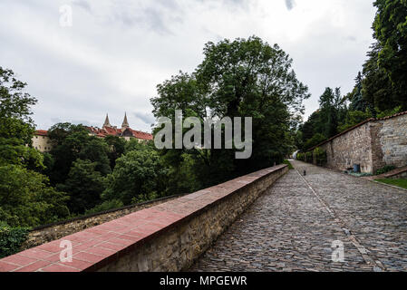 Sentier pavé dans le jardin royal du Château de Prague. Voir against cloudy sky Banque D'Images