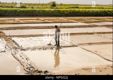 Paludier (saunier) travaillant dans le port des Salines, l'Île d'Oléron, France Banque D'Images