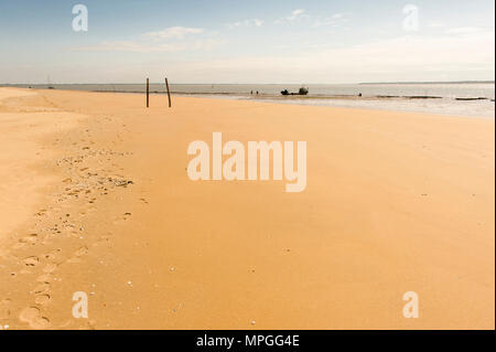 La plage Plage de Gatseau est populaire pour l'ostréiculture, l'Île d'Oléron, France Banque D'Images