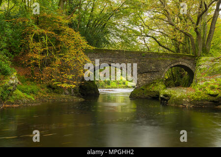 Denham Pont sur la rivière Tavey près de Buckland Monachorum, Devon, Angleterre. Banque D'Images
