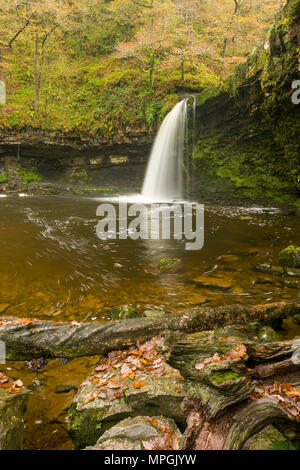 Cascade de Sgwd Gwladus (Lady's Falls) sur Afon Pyrddin dans le parc national de Bannau Brycheiniog (Brecon Beacons) près de Pontneddfechan, Powys, pays de Galles. Banque D'Images