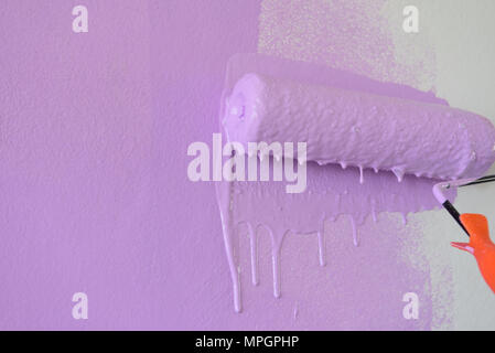 Rouleau de peinture mauve sur le mur blanc. Banque D'Images