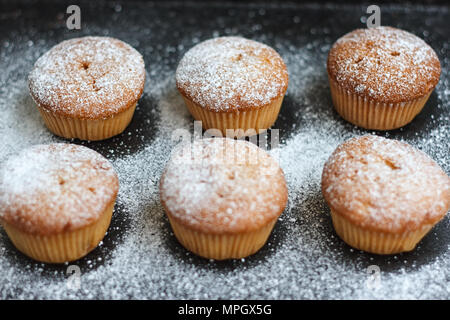 Muffins dans du sucre en poudre sur un tableau sombre Banque D'Images