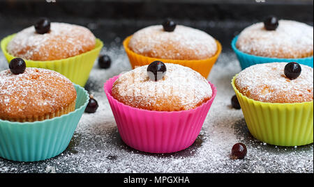 Muffins aux cassis en formes silicone saupoudrée de sucre en poudre Banque D'Images