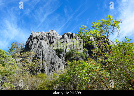 Affleurement calcaire spectaculaires dans Chillagoe-Mungana Caves National Park, Far North Queensland, Queensland, Australie, FNQ Banque D'Images