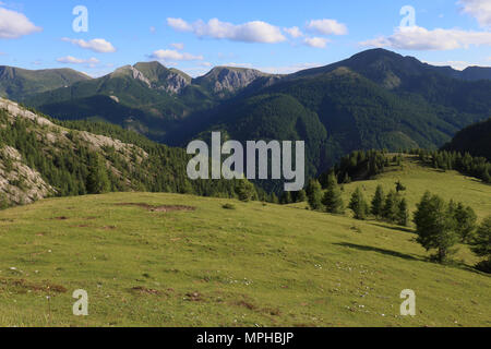 Prairie alpine à l'Eisentalhöhe, le sommet le plus haut le long de la Nockalmstrasse, partie de l'Gurktal Alpes. Banque D'Images