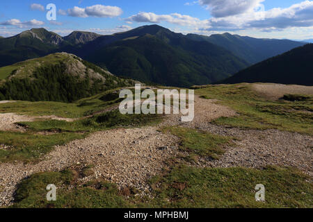 Prairie alpine à l'Eisentalhöhe, le sommet le plus haut le long de la Nockalmstrasse, partie de l'Gurktal Alpes. Banque D'Images