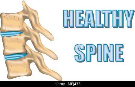 ILLUSTRATION DES VERTÈBRES ET DES DISQUES INTERVERTÉBRAUX EN BONNE SANTÉ Illustration de Vecteur