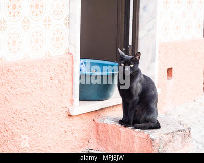 Chat noir assis à les étapes de l'une des maisons dans la vieille ville de Tavira, Algarve, Portugal. Banque D'Images