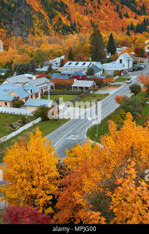 Les arbres d'automne, Arrowtown, près de Queenstown, Otago, île du Sud, Nouvelle-Zélande Banque D'Images