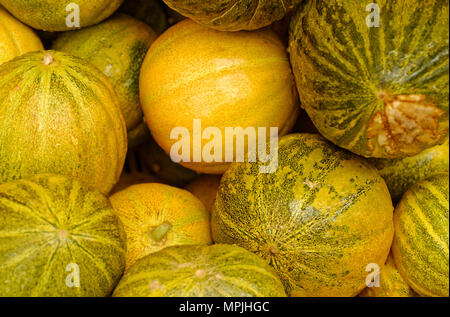 melons Banque D'Images