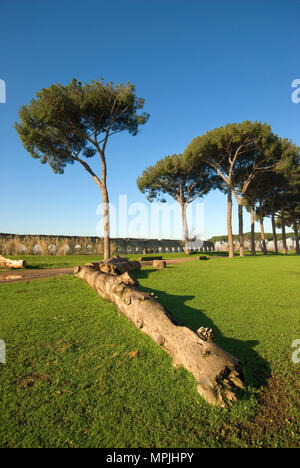 Parco degli Acquedotti (Parc des Aqueducs), Rome, Latium, Italie Banque D'Images