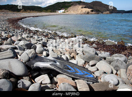 Pollution de la plage une nageoire de plongeurs s'est lavée sur une plage de galets sur la côte nord de Minorque Espagne Banque D'Images