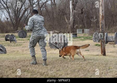 Airman Senior Brandon Proctor, 22e Escadron des Forces de sécurité de chien de travail militaire, et, l'IRAS MWD, effectuer une formation scoute, 23 mars 2017, à McConnell Air Force Base, Kan. Ce type de formation prépare les chiens pour être en mesure de localiser un suspect qui s'enfuit dans une zone boisée. (U.S. Air Force photo/Navigant de première classe Erin McClellan) Banque D'Images