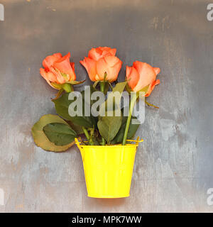 3 roses rouges dans un petit seau en bois jaune sur fond bleu Banque D'Images