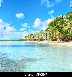 Plage isolée sur l'île de Saona, La Romana, République Dominicaine Banque D'Images