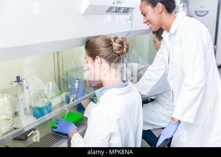 Groupe de scientifiques travaillant en laboratoire de recherche Banque D'Images