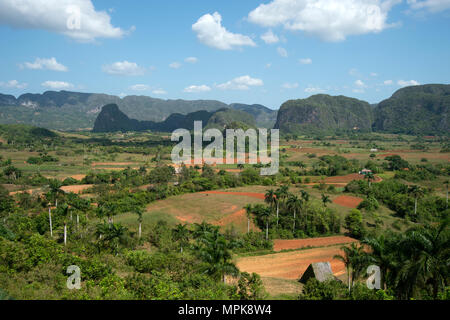 Les mogotes dominent la Valle de Vinales dans les champs de culture du tabac de Cuba Banque D'Images