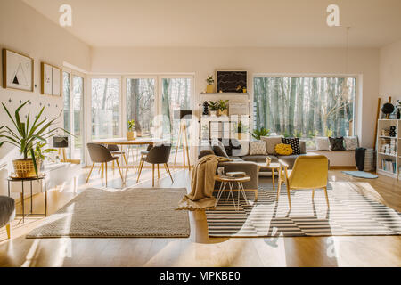 Spacieuses et natural living et salle à manger intérieur avec un confortable canapé gris et affiches encadrées sur les murs blancs. Photo réelle Banque D'Images