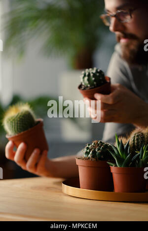 Close-up de plantes grasses et les cactus sur la plaque d'or. Hipster floue à l'arrière-plan Banque D'Images