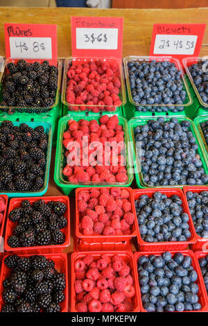 Montréal Canada,province de Québec,Atwater Market,rue Saint Ambroise,produits,fournisseurs stalles stalles stalles marché du stand,greengrocer,stalle,noir Banque D'Images