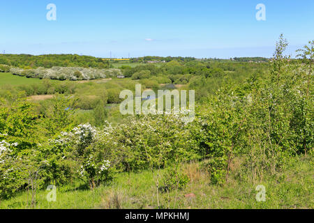 Aire Valley et la réserve RSPB Fairburn Ings près de Castleford, West Yorkshire, Angleterre, Royaume-Uni. Banque D'Images