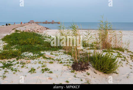 Des dalles de béton brisées sur la jetée de roche au coucher du soleil dans la marina municipale de Gulfport à Gulfport, Mississippi Banque D'Images