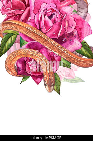 Serpent avec beau jardin de roses. Compositions de roses rouges et roses, illustration à l'aquarelle. L'utilisation d'impression t-shirt. Banque D'Images