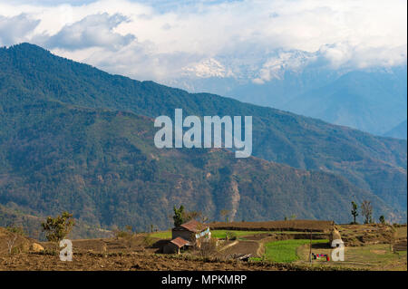 De l'Himalaya vu de l'Dhampus, village de montagne au Népal Banque D'Images