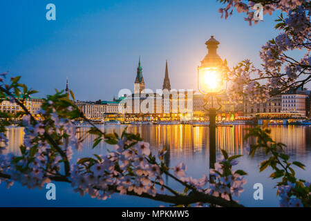 Brûler lanterne en parc avec des branches de fleurs de cerisiers en fleurs sur le magnifique lac Alster et hôtel de ville de Hambourg - Rathaus sur crépuscule du soir Banque D'Images