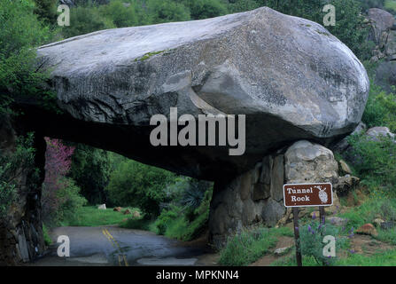 Rock Tunnel, Sequoia National Park, Californie Banque D'Images