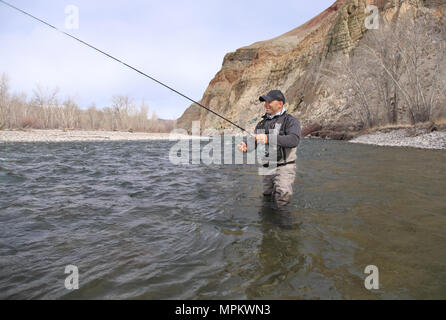 Pêcheur de mouche adultes pataugeant et moulage sur une rivière Banque D'Images