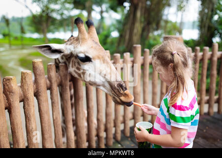 L'alimentation de la famille girafe zoo. L'alimentation des enfants dans le parc safari girafes tropicales pendant les vacances d'été à Singapour. Enfants regarder les animaux. Petite fille giv Banque D'Images