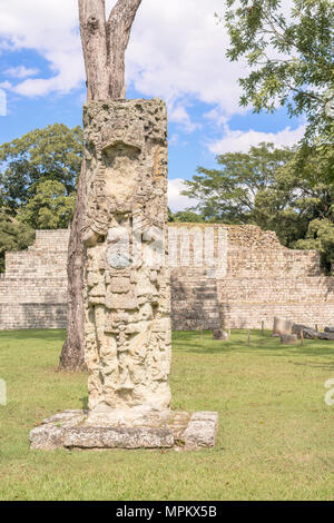 UNESCO World Heritage site, site maya de Copan Ruinas, au Honduras. Des pierres sculptées à Copan Ruinas site. Banque D'Images