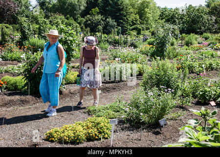 Québec Canada,canadien,Amérique du Nord,américain,Université Laval,jardin Roger Van den Hende,jardin botanique,femmes,plantes,université,collège,campus Banque D'Images